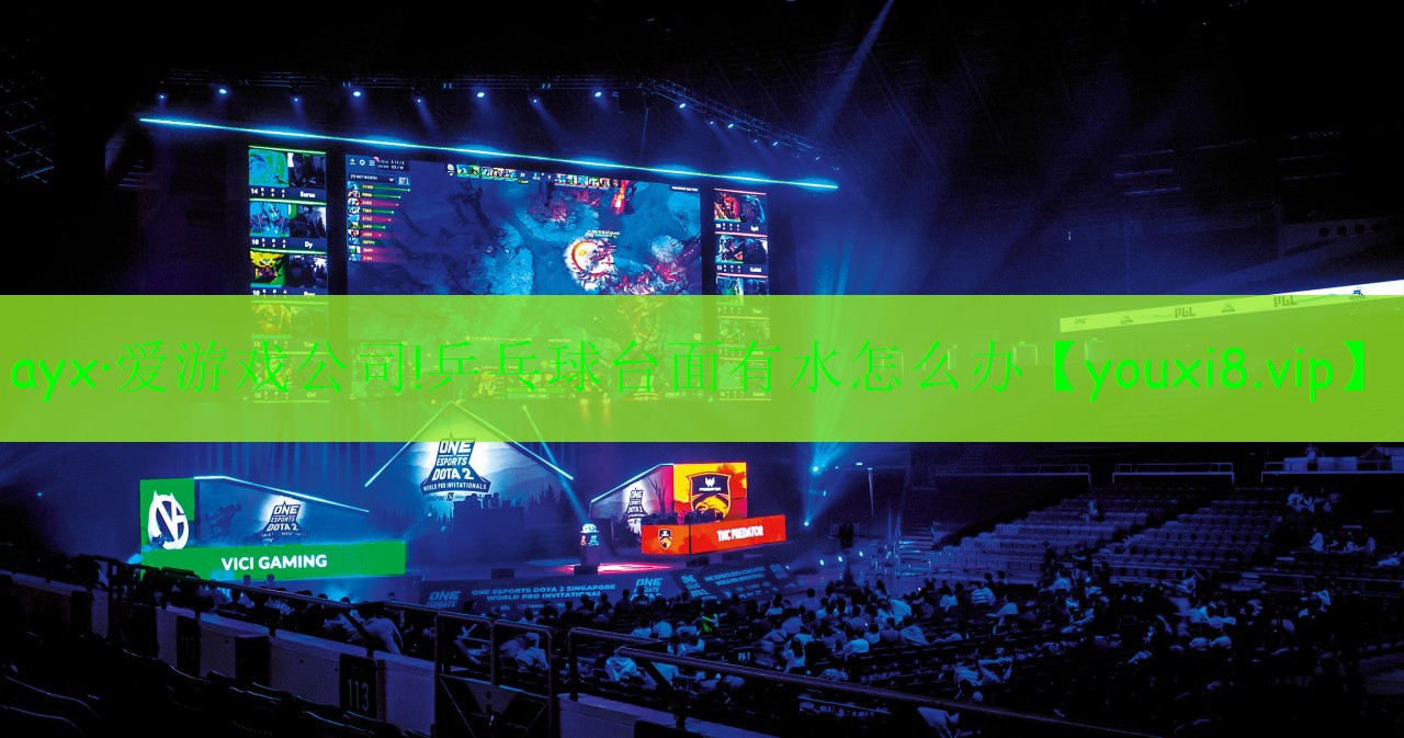 乒乓球臺(tái)面有水怎么辦 乒乓球臺(tái)面有水怎么辦